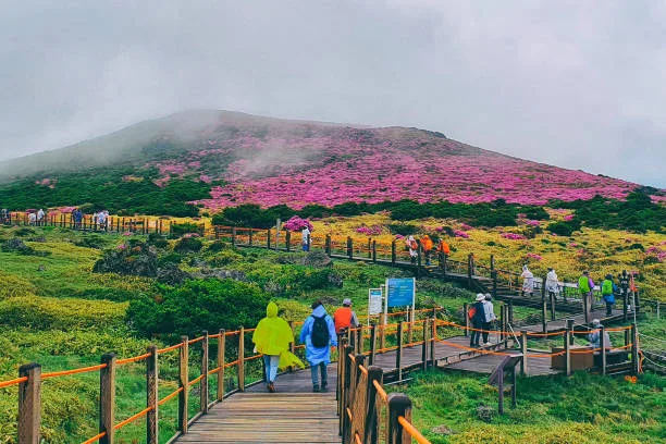 1. Jeju Island: A Journey Through Time and Tradition