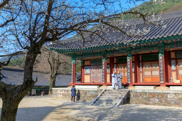 Korean temple stay