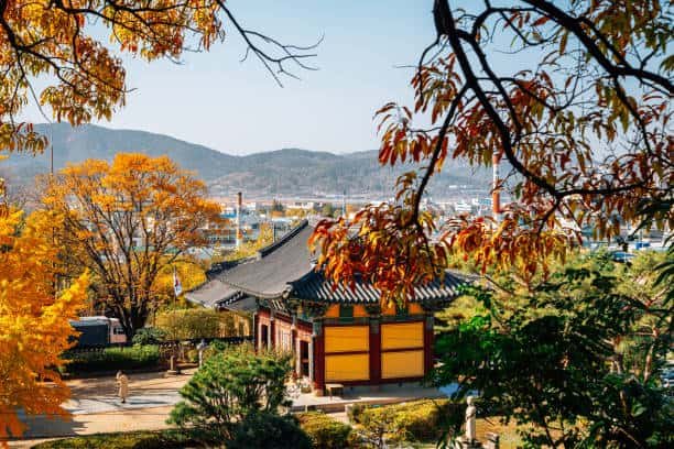 Korean temple stay 6