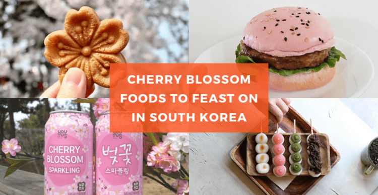 Korean cherry blossom food and festivals
