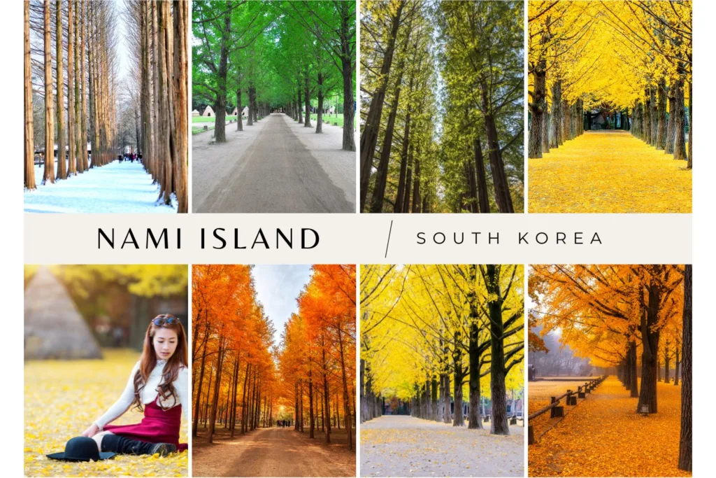Nami Island seasons