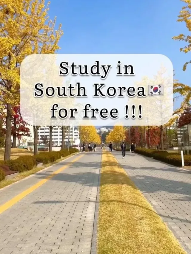 Study in South Korea for Free